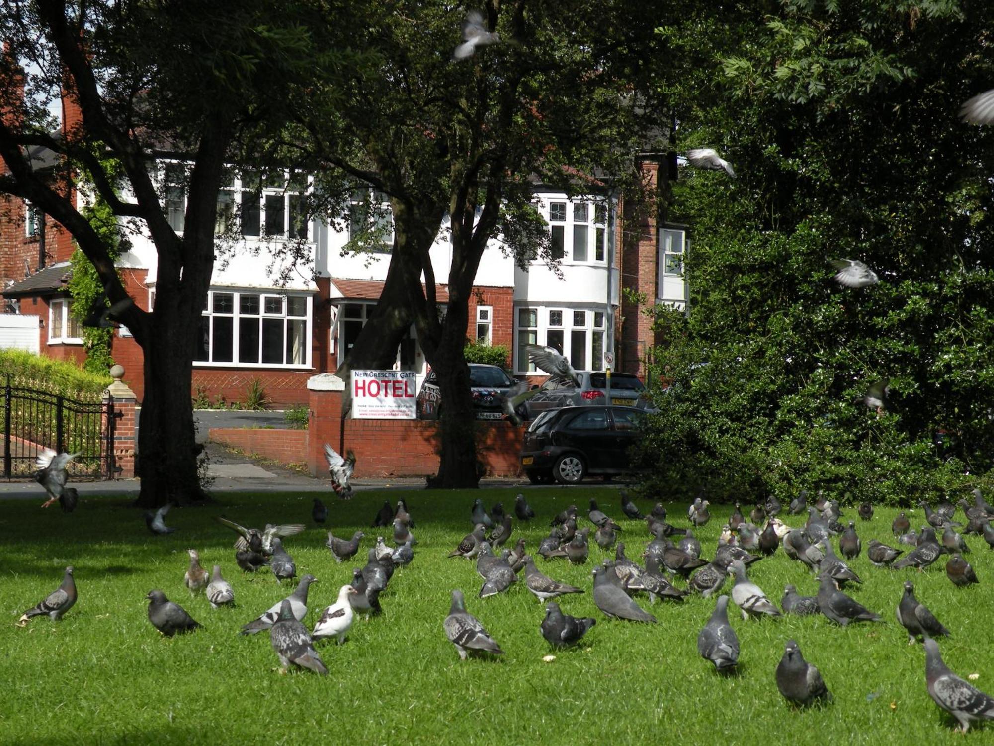 Acomodação com café da manhã  Park Crescent Hotel Manchester